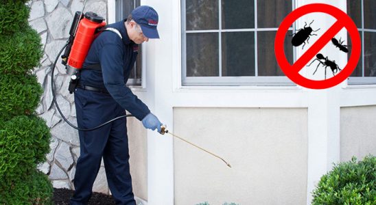Alaplı Hamam Böceği İlaçlama böcek ilaçlama ve haşere kontrolü — ilaclama-tr.com